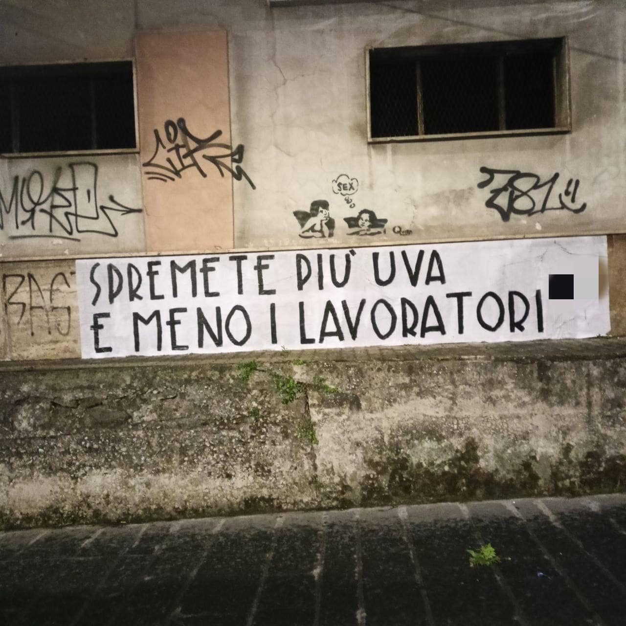 Spremete più uva e meno i lavoratori: l’azione ad Avellino contro la crisi di manodopera